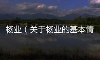 楊業(yè)（關(guān)于楊業(yè)的基本情況說(shuō)明介紹）