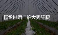 楊丞琳曬自拍大秀纖腰 頭發微濕盡顯活力