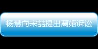楊慧向宋喆提出離婚訴訟 要求凍結其資產