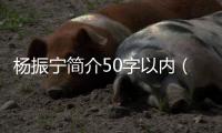 楊振寧簡介50字以內（楊振寧簡介100字）