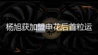 楊旭獲加盟申花后首粒運動戰進球 下輪戰東道主迎考驗