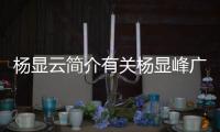 楊顯云簡介有關楊顯峰廣西的詳細內容