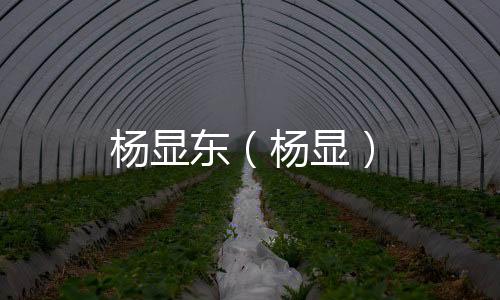 楊顯東（楊顯）