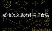 楊梅怎么洗才能保證食品安全？