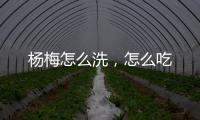楊梅怎么洗，怎么吃