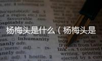 楊梅頭是什么（楊梅頭是什么）