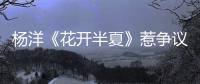 楊洋《花開半夏》惹爭議 愛情也需要理性【電視劇】風尚中國網