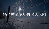 楊子黃圣依現身《天天向上》 談養生被贊“老中醫”