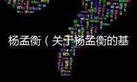 楊孟衡（關(guān)于楊孟衡的基本情況說(shuō)明介紹）