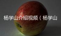 楊學山介紹視頻（楊學山）