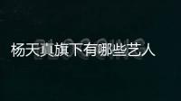 楊天真旗下有哪些藝人 楊天真手下有很多當紅明星