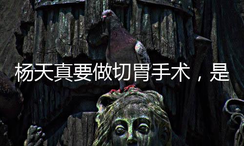 楊天真要做切胃手術，是為了減肥還是治病？