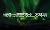楊如松督查突出生態環境問題整改工作