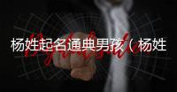 楊姓起名通典男孩（楊姓起名通典）