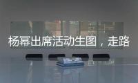 楊冪出席活動(dòng)生圖，走路姿勢(shì)引粉絲關(guān)注和熱議