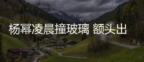 楊冪凌晨撞玻璃 額頭出大包網友心疼【娛樂新聞】風尚中國網