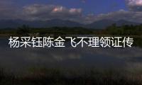 楊采鈺陳金飛不理領(lǐng)證傳聞，曾怒斥網(wǎng)友齷齪，觀眾：嫁入豪門不易