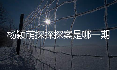 楊穎萌探探探案是哪一期