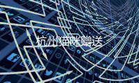 杭州貓咪贈送