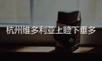 杭州維多利亞上瞼下垂多少錢