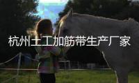 杭州土工加筋帶生產(chǎn)廠家