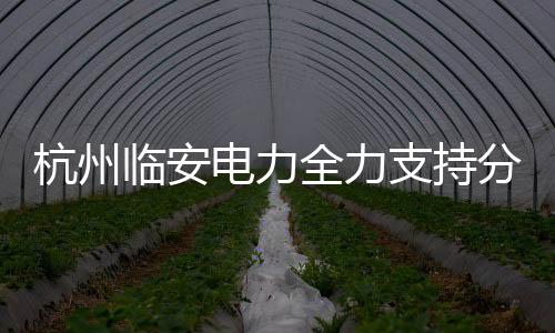 杭州臨安電力全力支持分布式光伏發(fā)電項(xiàng)目 ,行業(yè)資訊