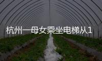 杭州一母女乘坐電梯從11層滑至地下1層