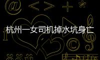 杭州一女司機掉水坑身亡 這水坑真的太坑了