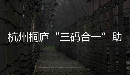 杭州桐廬“三碼合一”助企高質量發展