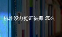 杭州沒辦狗證被抓 怎么辦理(杭州沒有狗證可以養(yǎng)狗嗎)