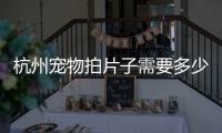 杭州寵物拍片子需要多少錢，寵物醫院給狗拍個片子需要多少錢