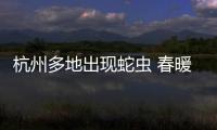 杭州多地出現(xiàn)蛇蟲 春暖花開需警惕