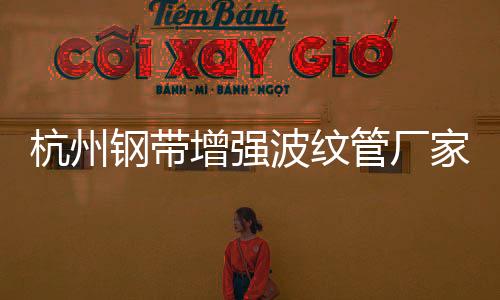 杭州鋼帶增強(qiáng)波紋管廠家生產(chǎn)