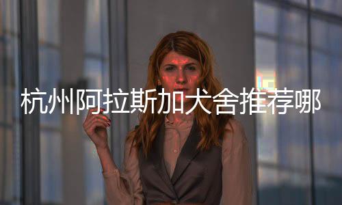 杭州阿拉斯加犬舍推薦哪家？杭州阿拉斯加犬多少錢一只