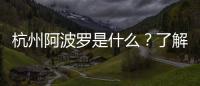 杭州阿波羅是什么？了解一下這個神秘的地方