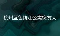 杭州藍色錢江公寓突發大火 4人搶救無效身亡