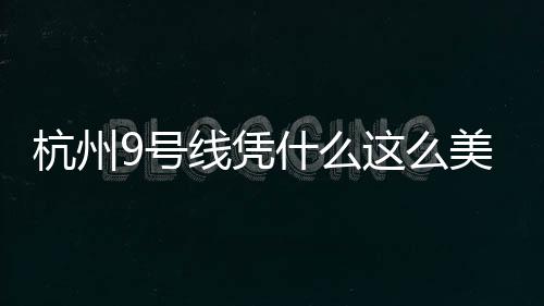 杭州9號線憑什么這么美？ 鴻雁照明5萬余套燈具打造“地下藝術長廊”