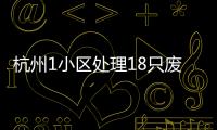 杭州1小區處理18只廢舊煤氣鋼瓶 消除火災隱患