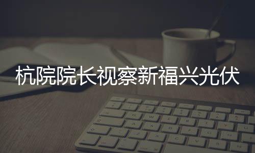 杭院院長(zhǎng)視察新福興光伏玻璃生產(chǎn)線項(xiàng)目,企業(yè)新聞