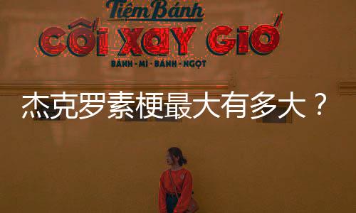 杰克羅素梗最大有多大？ 杰克羅素梗多少錢