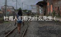 杜甫人們稱為什么先生（杜甫人們稱為什么）