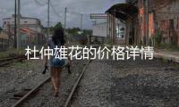 杜仲雄花的價(jià)格詳情