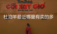 杜泊羊最近哪里有賣的多少錢:廣西杜泊羊