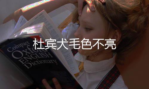 杜賓犬毛色不亮