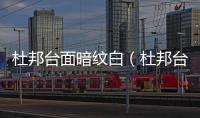 杜邦臺面暗紋白（杜邦臺面）