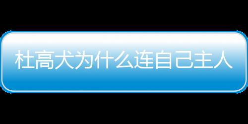 杜高犬為什么連自己主人都咬
