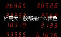 杜高犬一般都是什么顏色的？ 杜高犬黑色