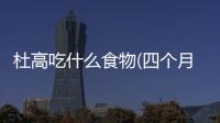 杜高吃什么食物(四個月杜高多重)