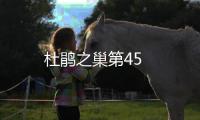 杜鵑之巢第45
