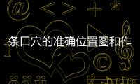 條口穴的準(zhǔn)確位置圖和作用及功效，條口穴位位置圖和作用